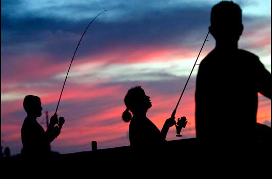 Bridge Fishing in the Florida Keys