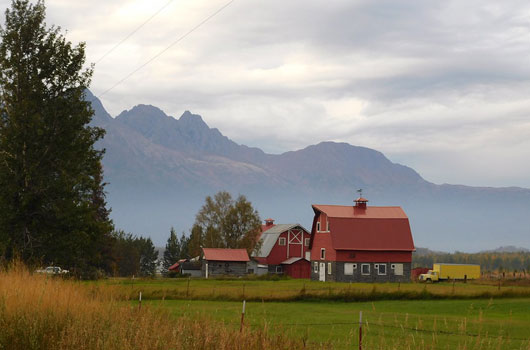 The Glover Colony Barns, Palmer, Alaska