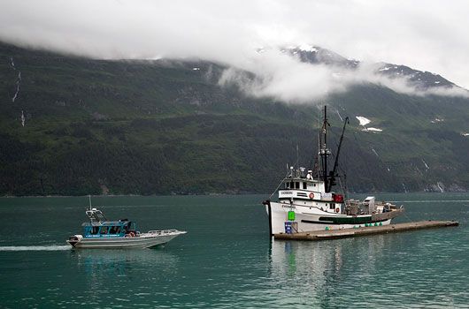 Prince William Sound Whitier Alaska