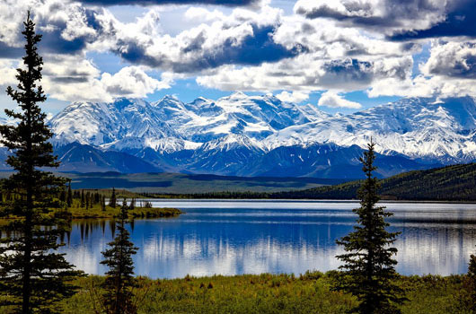 Denali Nationalpark, Alaska