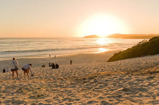 Carmel Beach