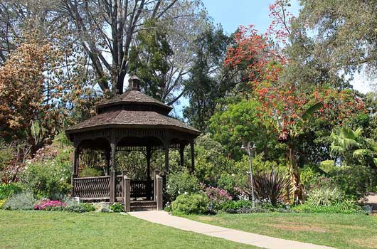 SAN DIEGO BOTANIC GARDEN