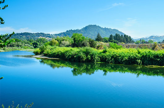 Fitch Mountain and Russian River Healdsburg. 