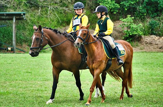 Crescent Trail Rides