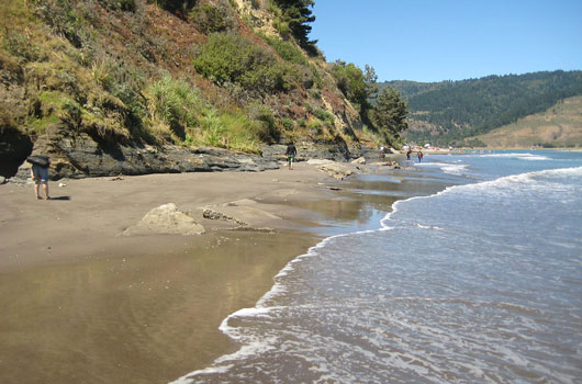 Bolinas Beach