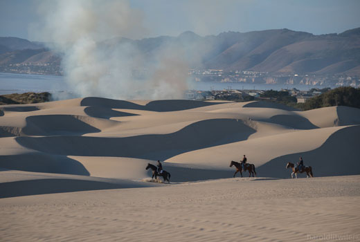 Ocean dunes San Luis Obispo County