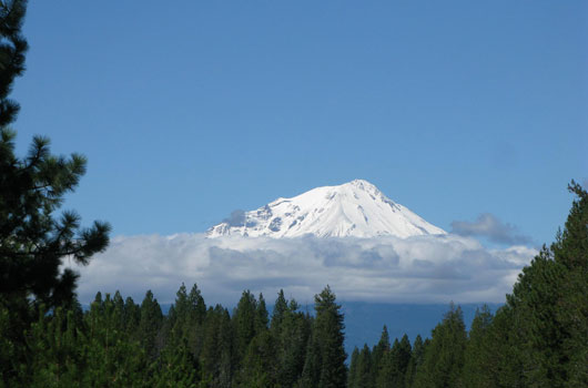 Shasta Cascade