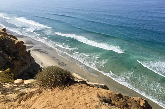 Torrey Pines State Natural Reserve