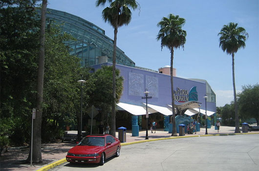 Florida Aquarium, Tampa