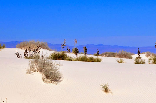 White Sands, New Mexico